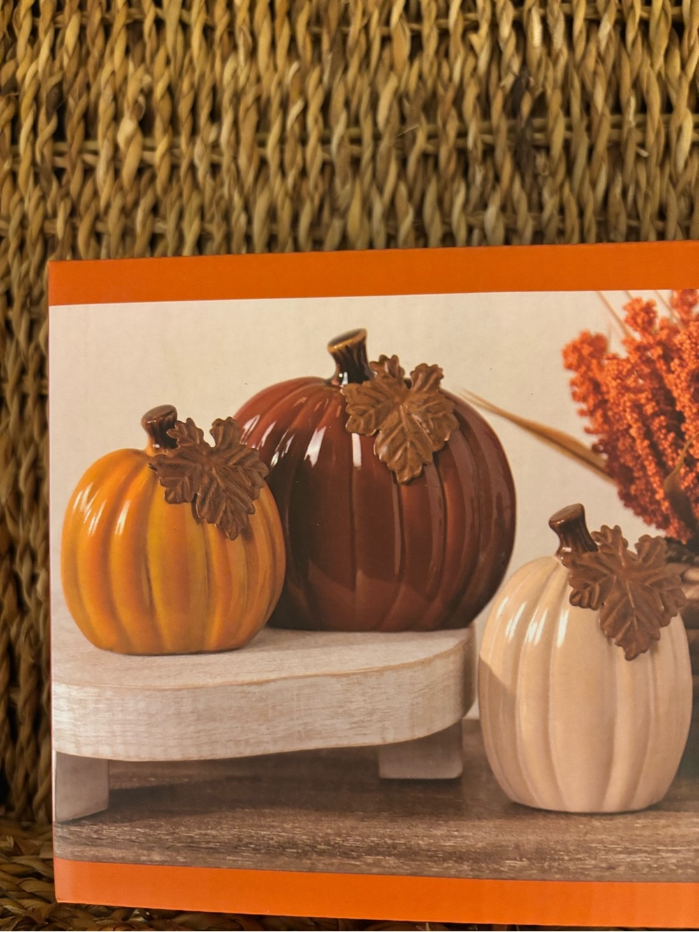 Kirkland Signature Fall Ceramic Pumpkin Decor Set - Brown, Orange, & Cream - Picture 2 of 5